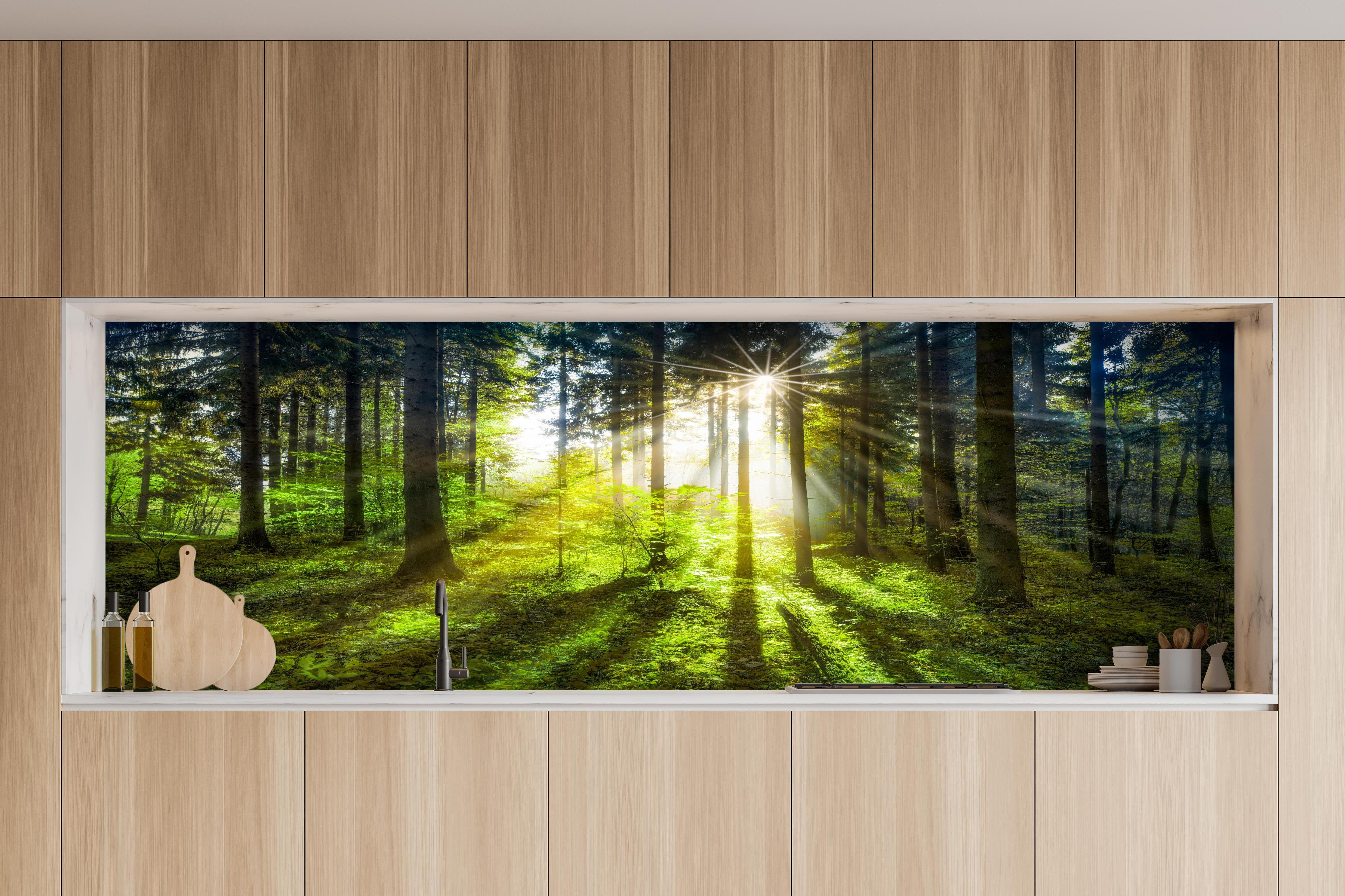 Küche - Sonnenstrahlen im lebendigem Wald  hinter weißen Hochglanz-Küchenregalen und schwarzem Wasserhahn