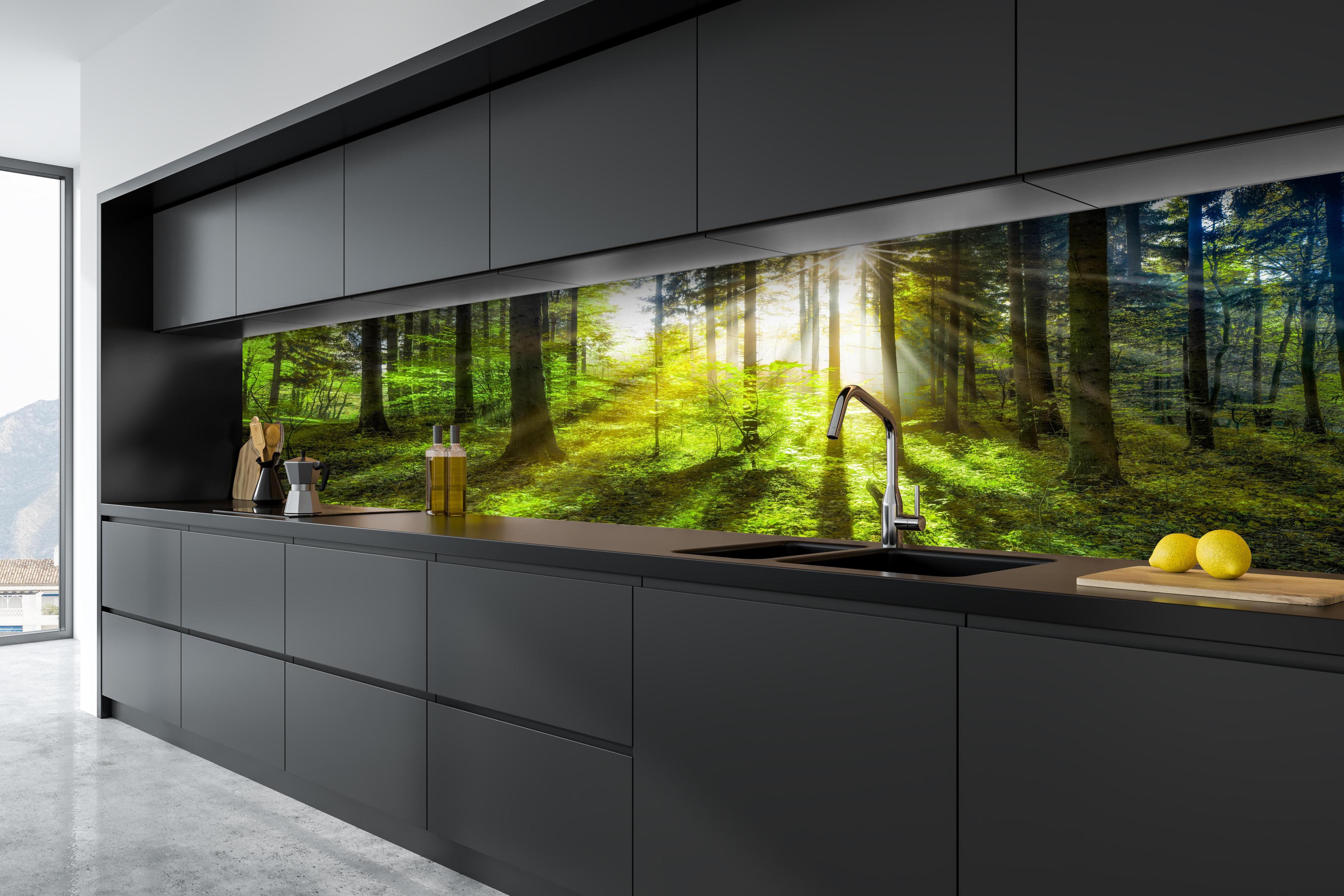 Küche - Sonnenstrahlen im lebendigem Wald  hinter weißen Hochglanz-Küchenregalen und schwarzem Wasserhahn