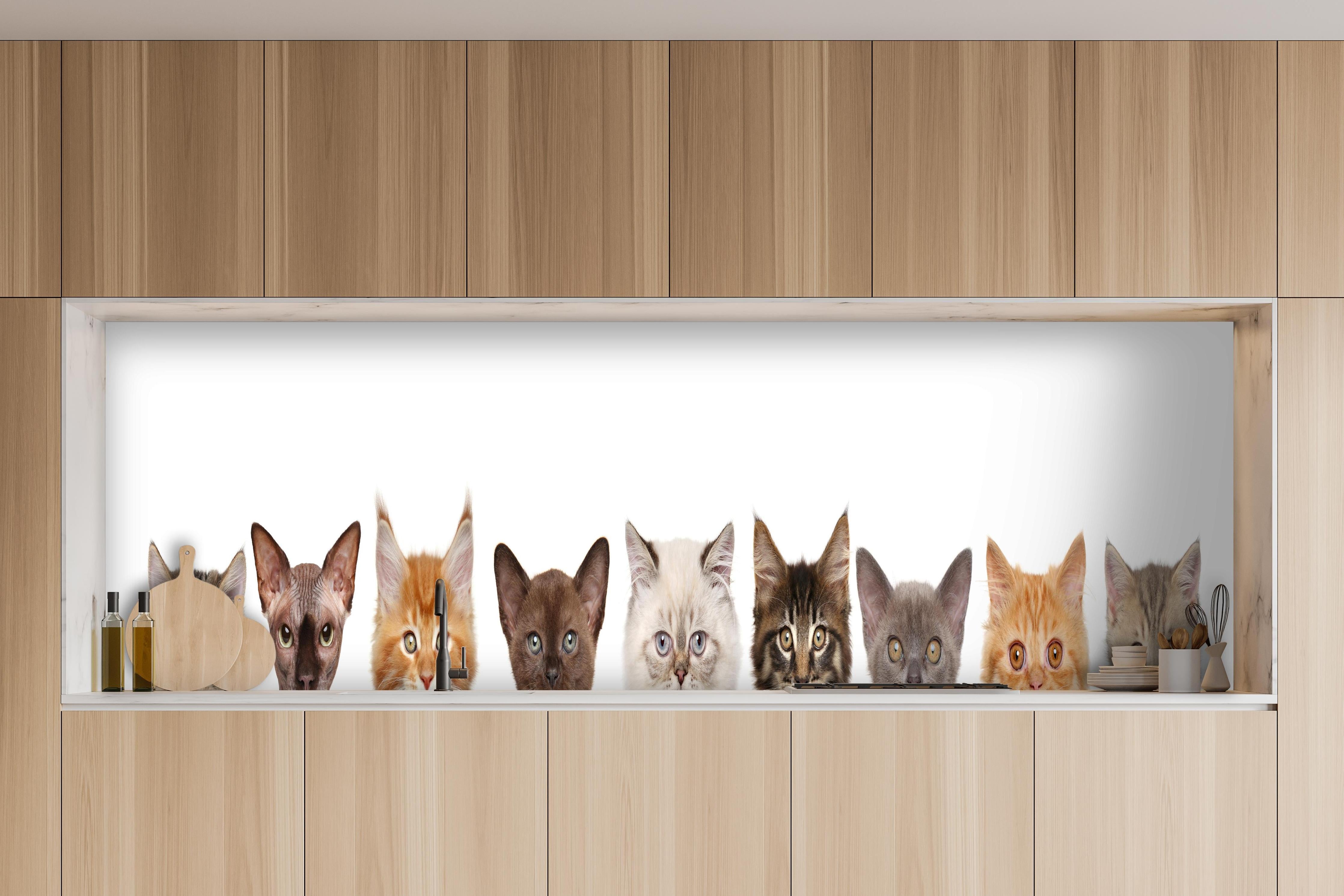 Küche - Verspielte Katzen-Motivsammlung in Grau-Weiß hinter weißen Hochglanz-Küchenregalen und schwarzem Wasserhahn