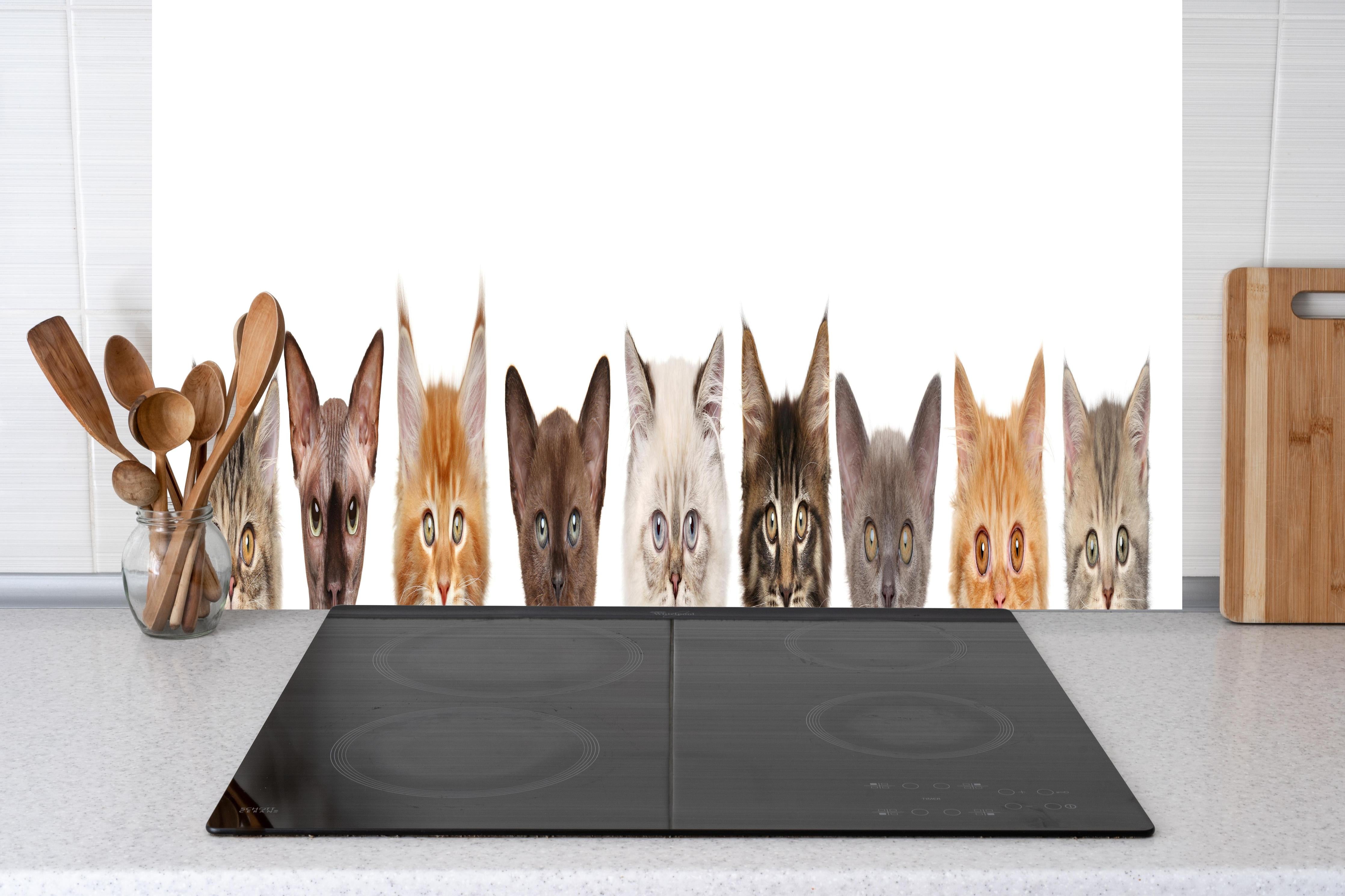 Küche - Verspielte Katzen-Motivsammlung in Grau-Weiß hinter weißen Hochglanz-Küchenregalen und schwarzem Wasserhahn