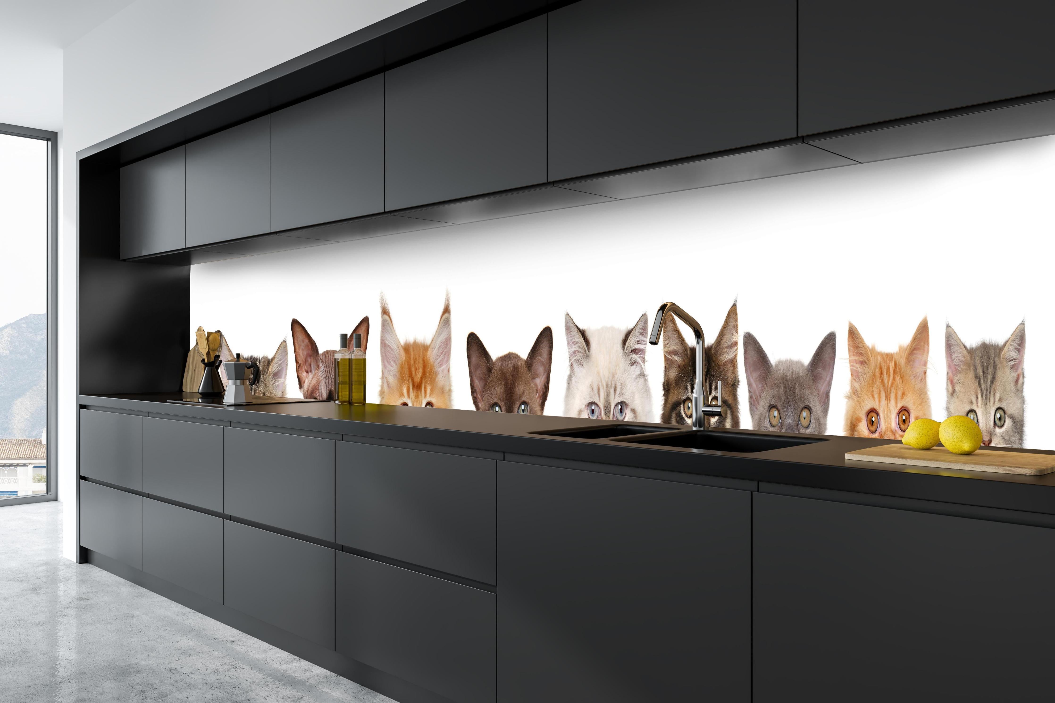 Küche - Verspielte Katzen-Motivsammlung in Grau-Weiß hinter weißen Hochglanz-Küchenregalen und schwarzem Wasserhahn