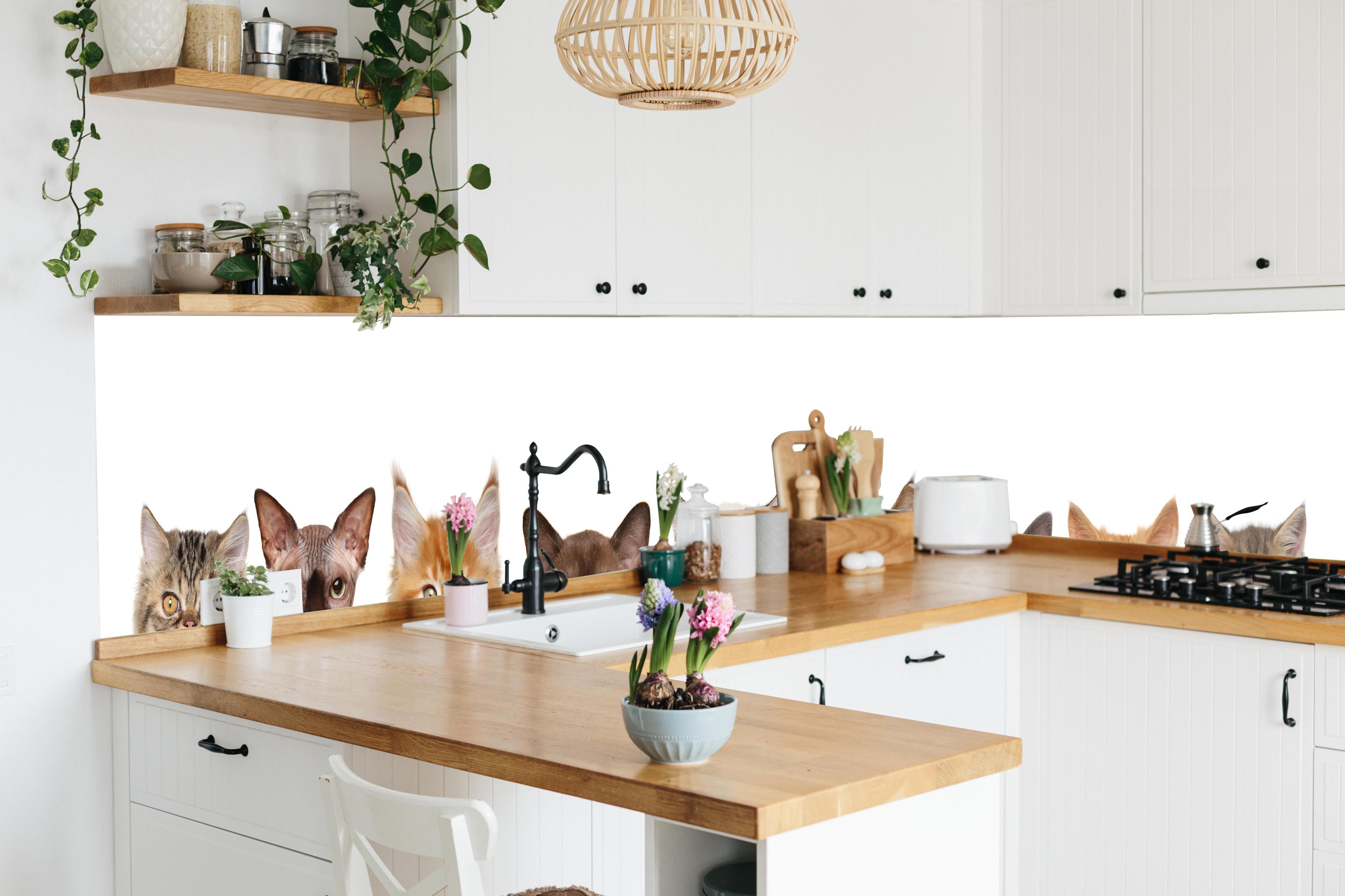 Küche - Verspielte Katzen-Motivsammlung in Grau-Weiß hinter weißen Hochglanz-Küchenregalen und schwarzem Wasserhahn