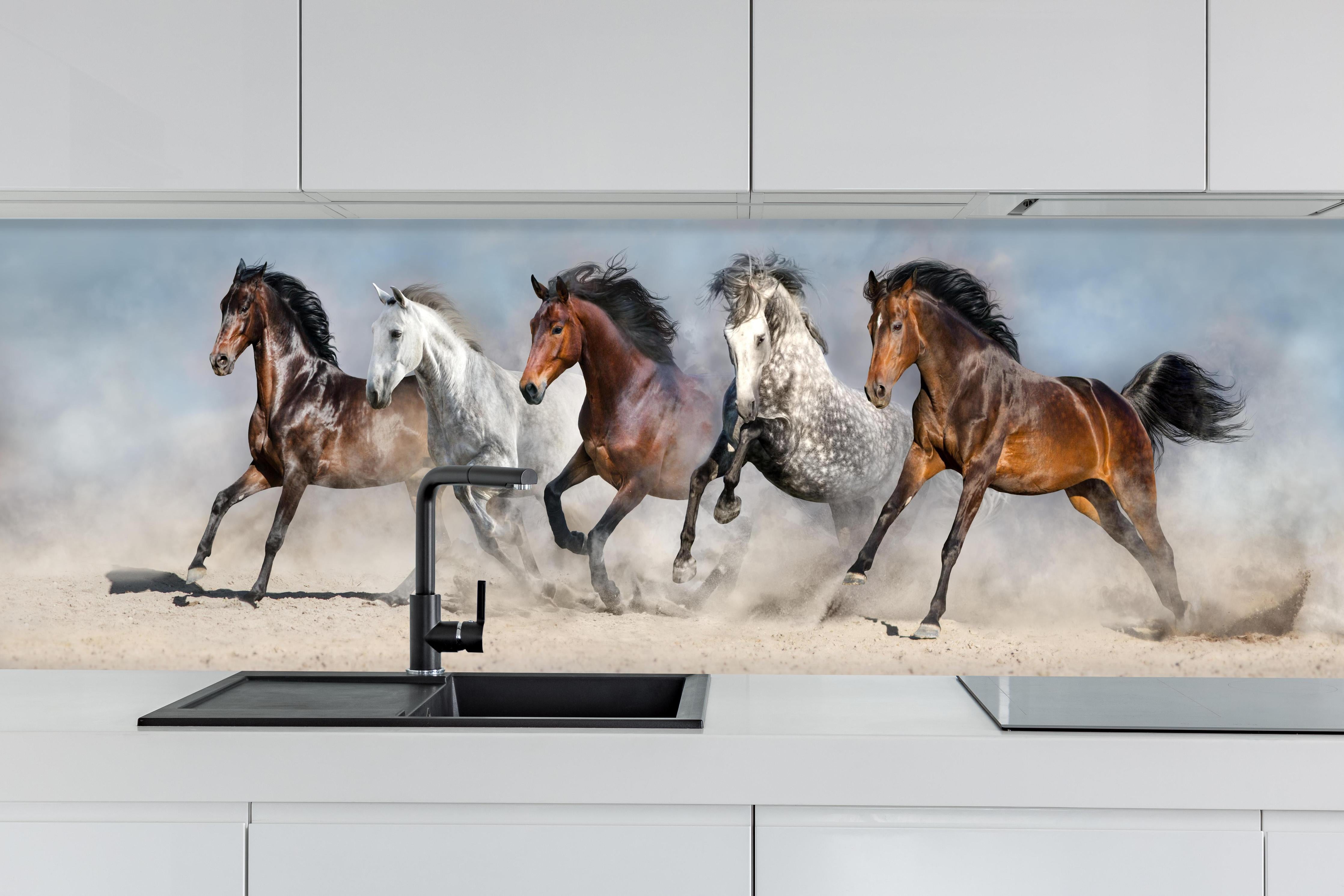 Küche - Vier Pferde rennen Sandwolke Himmel hinter weißen Hochglanz-Küchenregalen und schwarzem Wasserhahn