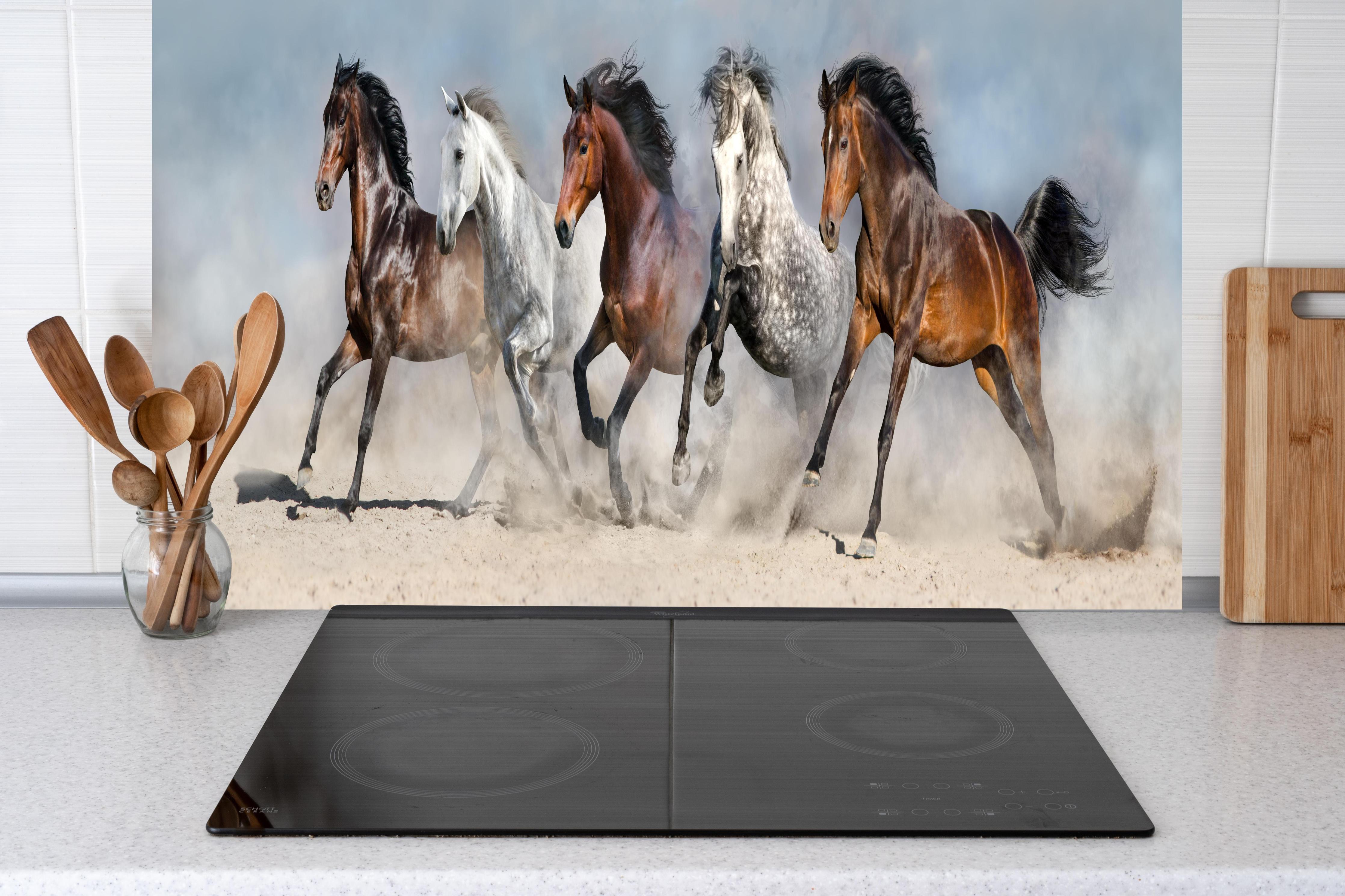 Küche - Vier Pferde rennen Sandwolke Himmel hinter weißen Hochglanz-Küchenregalen und schwarzem Wasserhahn