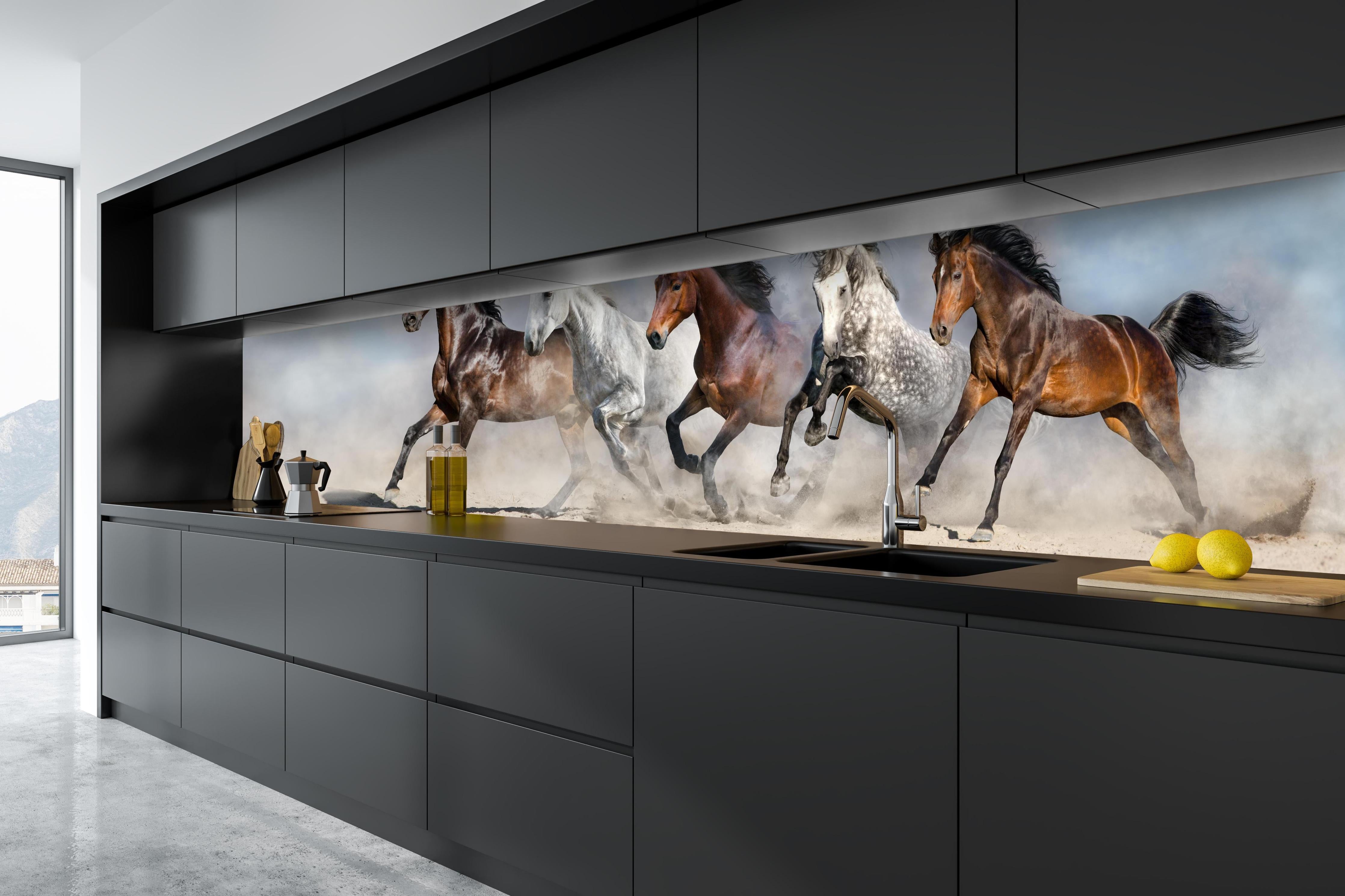 Küche - Vier Pferde rennen Sandwolke Himmel hinter weißen Hochglanz-Küchenregalen und schwarzem Wasserhahn