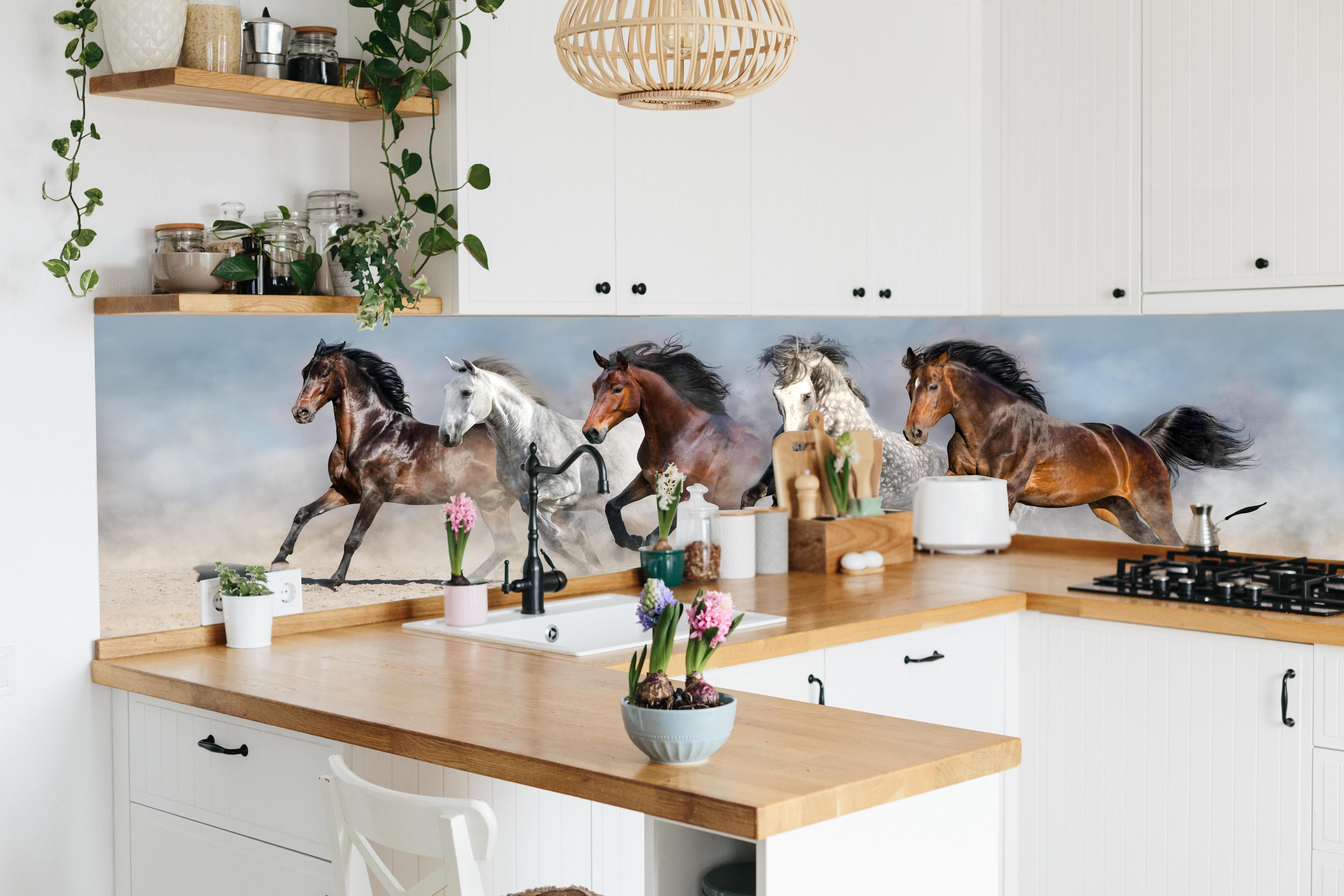 Küche - Vier Pferde rennen Sandwolke Himmel hinter weißen Hochglanz-Küchenregalen und schwarzem Wasserhahn