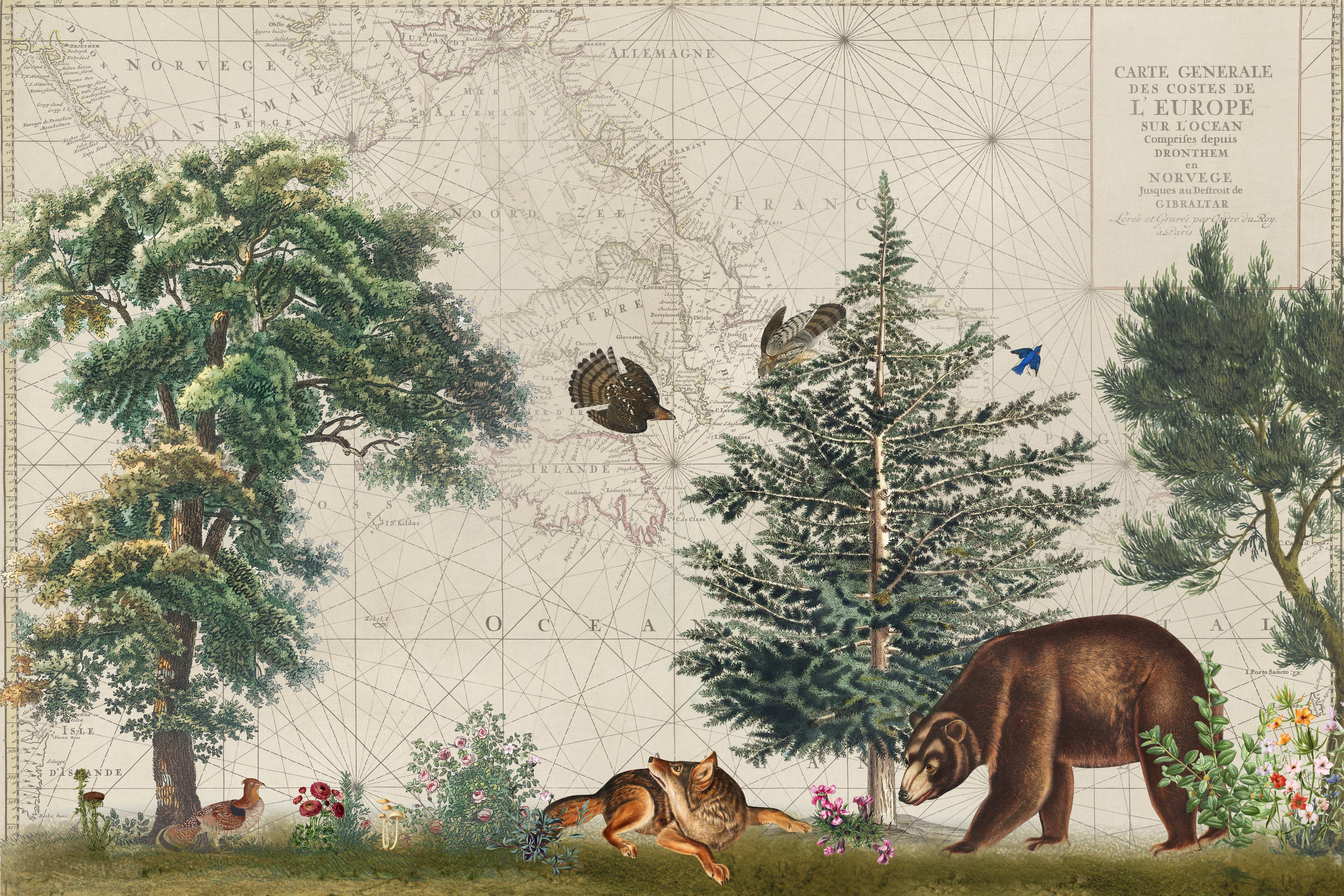 Küchenrückwand-Weltkarte mit tropischem Wald