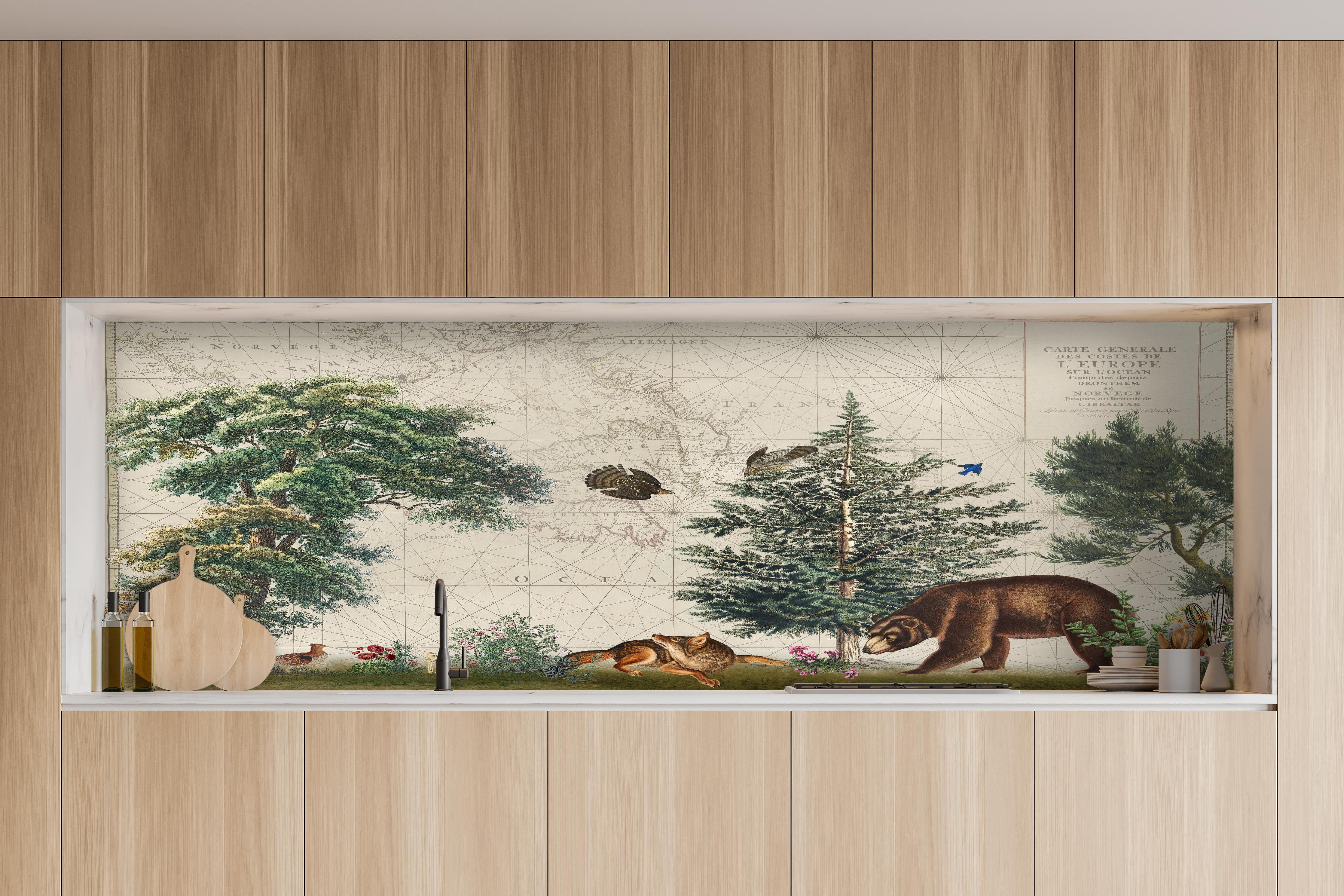 Küche - Weltkarte mit tropischem Wald hinter weißen Hochglanz-Küchenregalen und schwarzem Wasserhahn