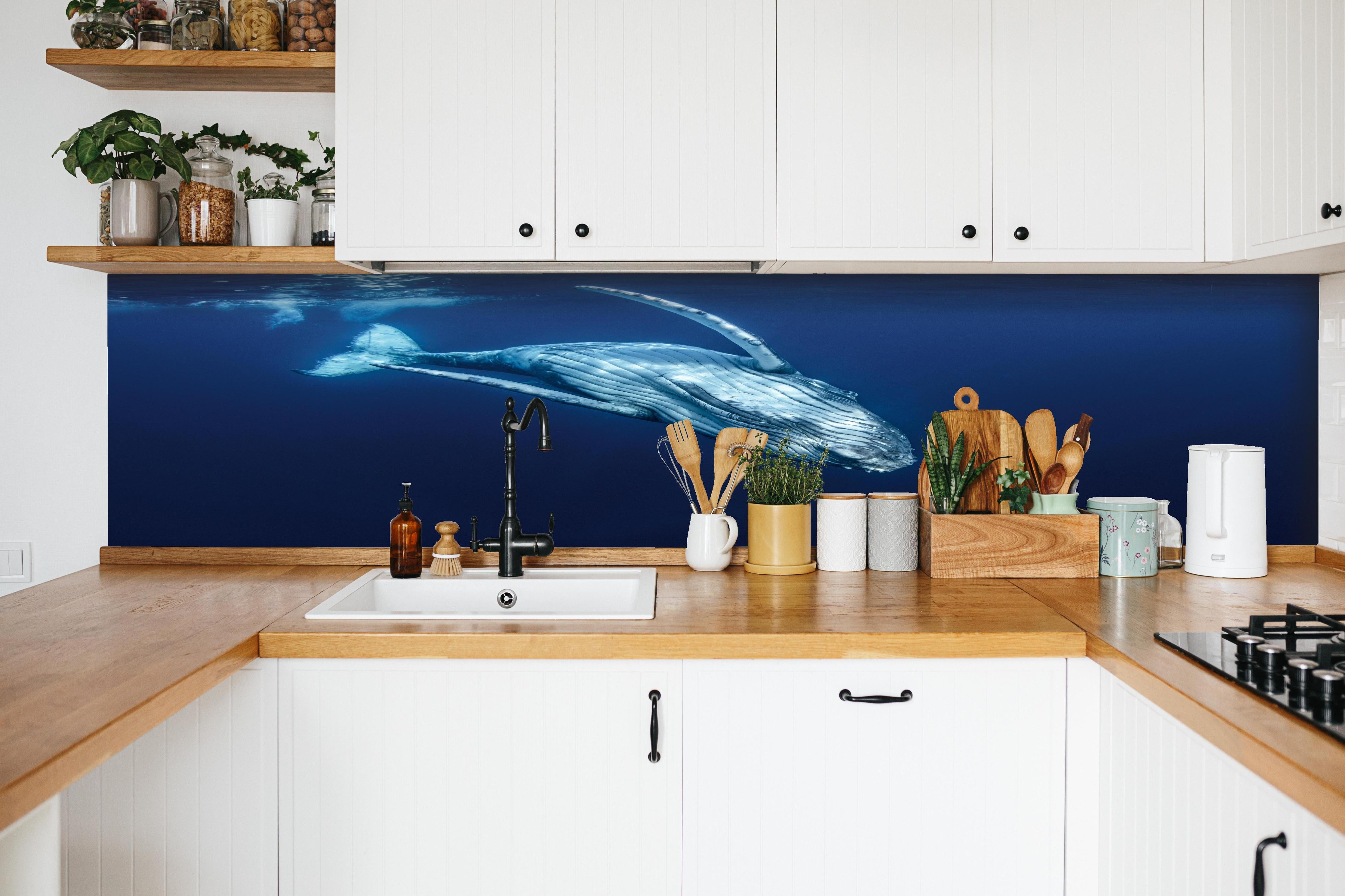 Küche - Wunderschönes Buckelwalbaby hinter weißen Hochglanz-Küchenregalen und schwarzem Wasserhahn