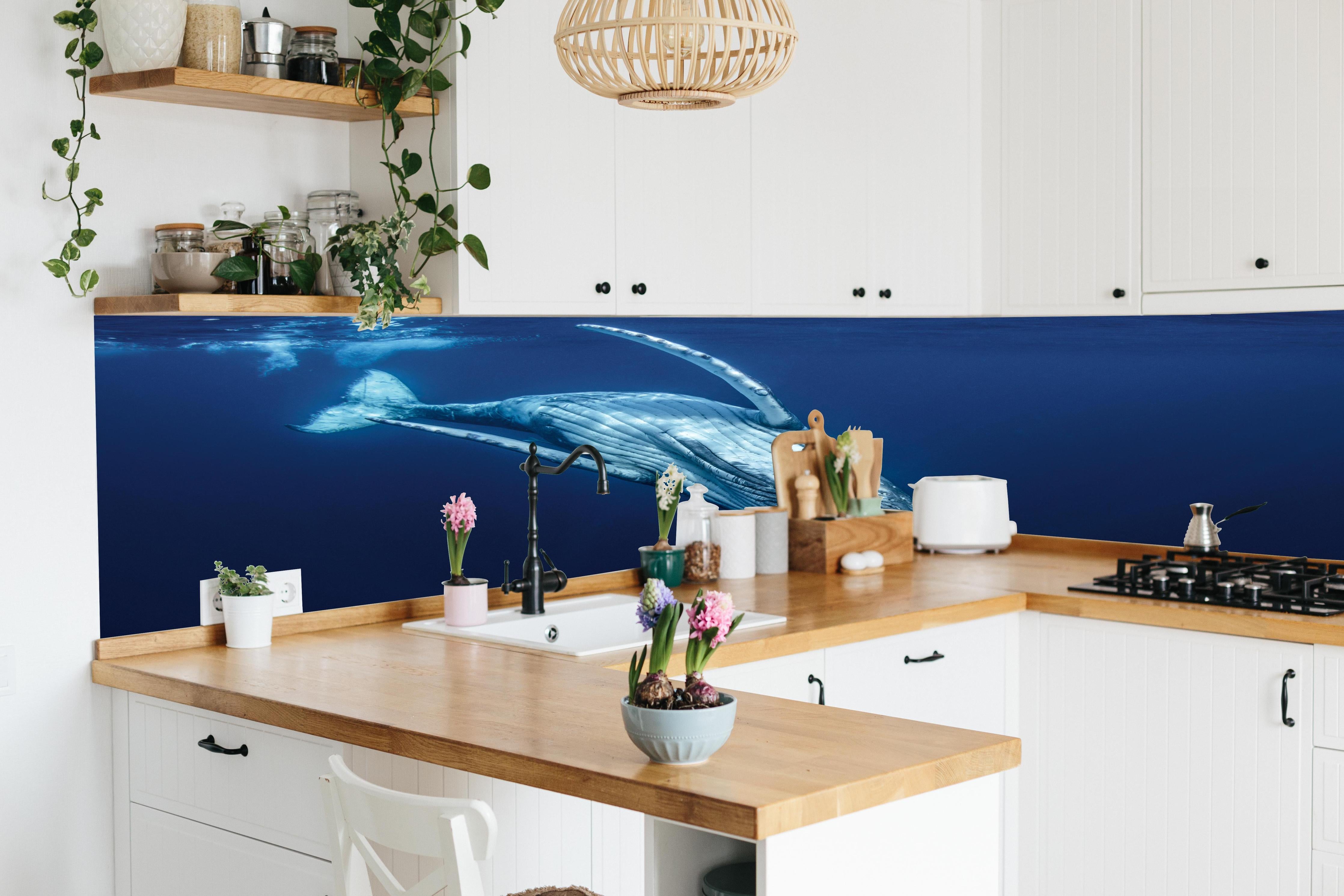 Küche - Wunderschönes Buckelwalbaby hinter weißen Hochglanz-Küchenregalen und schwarzem Wasserhahn