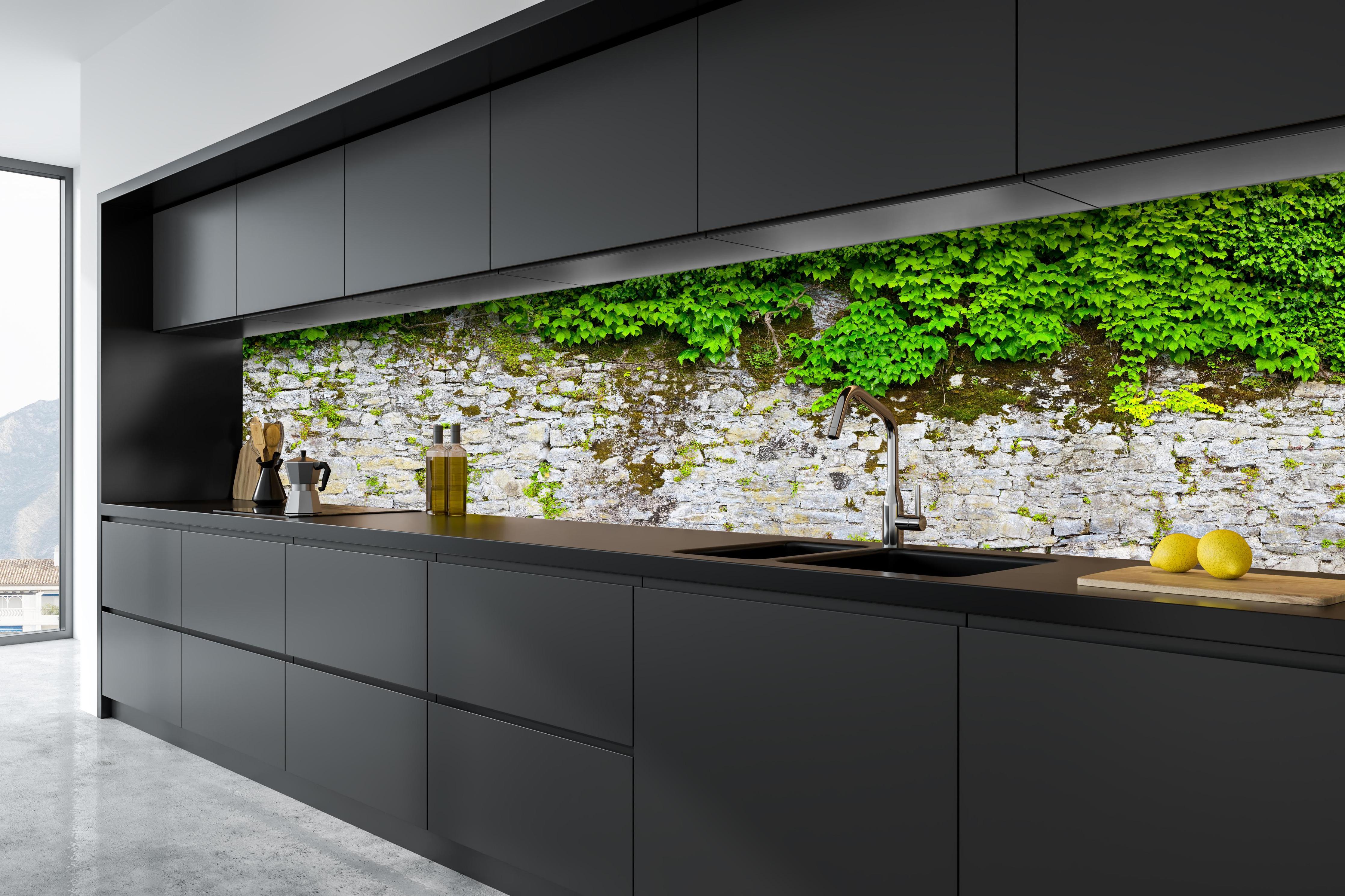 Küche - überwucherte Burgmauer hinter weißen Hochglanz-Küchenregalen und schwarzem Wasserhahn