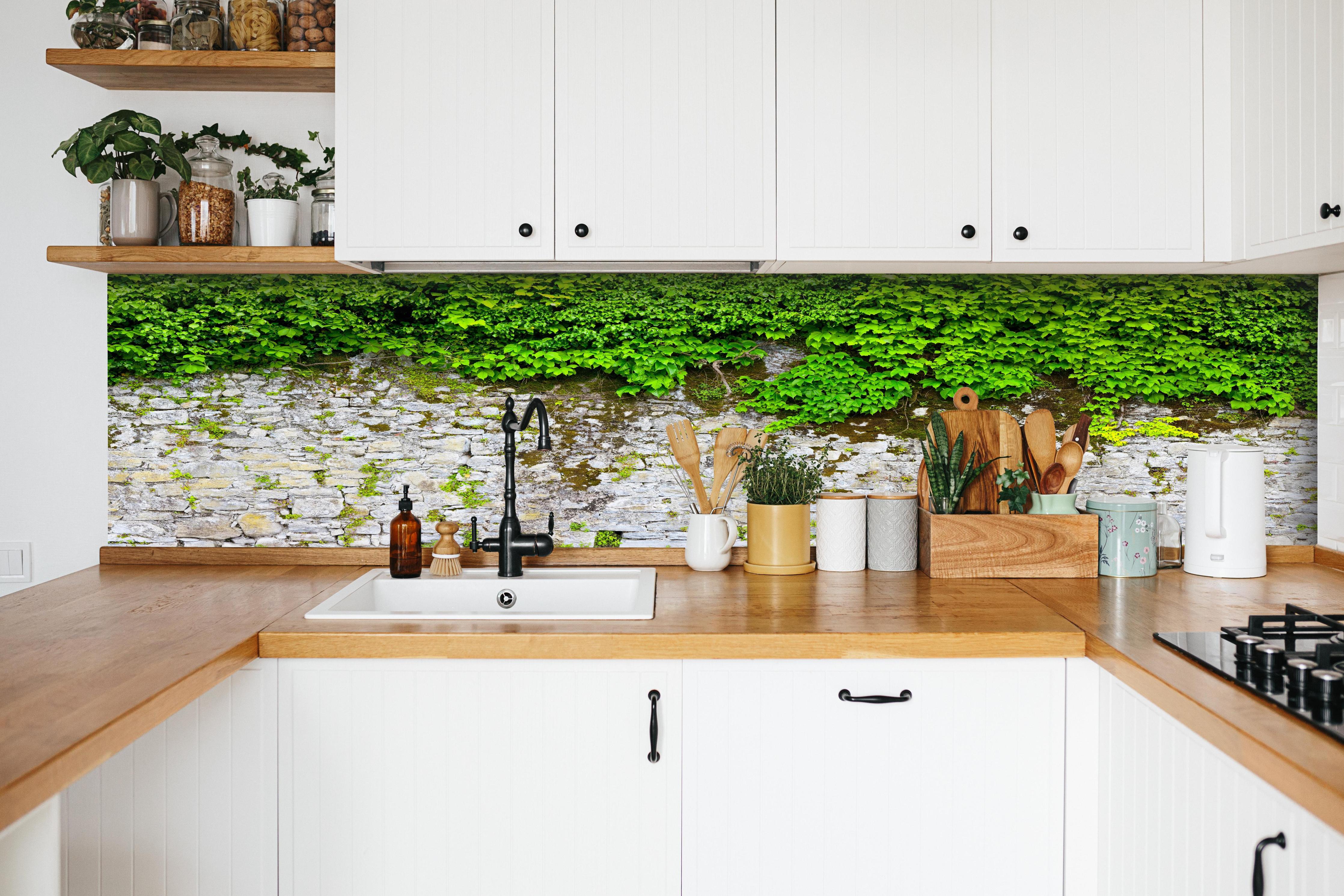 Küche - überwucherte Burgmauer hinter weißen Hochglanz-Küchenregalen und schwarzem Wasserhahn