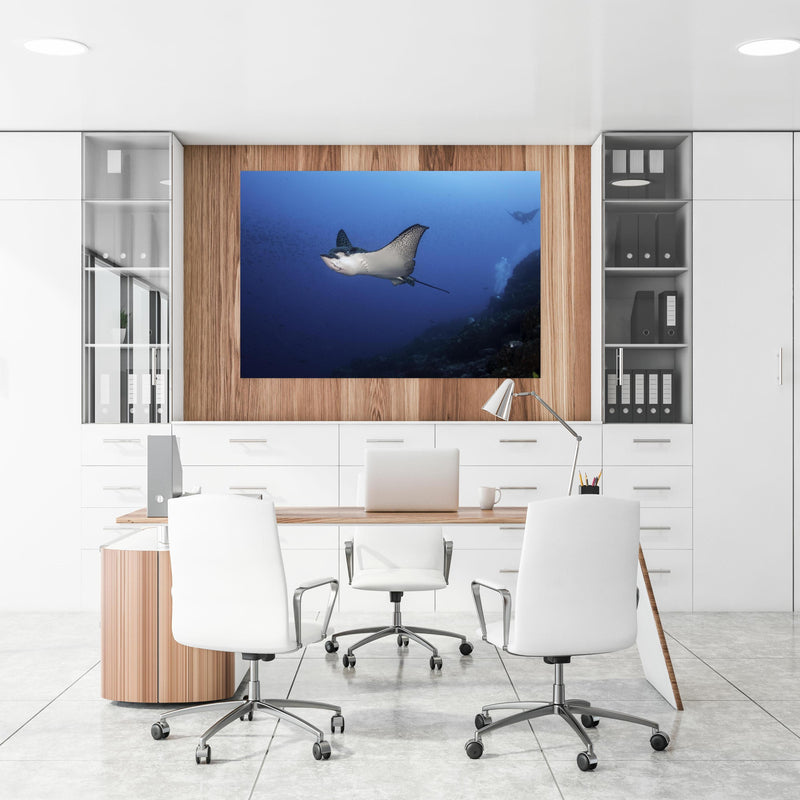 Office Poster  - Adlerrochen schwimmt über dem Korallenriff an einer Holzwand hängend im Büroraum
Office Poster  - Adlerrochen schwimmt über dem Korallenriff an einer Holzwand hängend im Büroraum