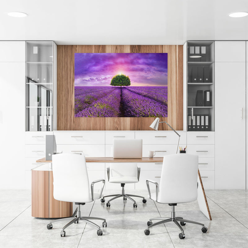 Office Poster  - Baum im schönen lavendel Feld an einer Holzwand hängend im Büroraum
Office Poster  - Baum im schönen lavendel Feld an einer Holzwand hängend im Büroraum