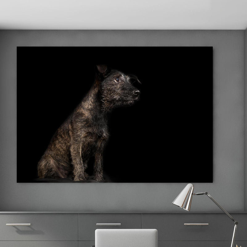 Office Poster  - Dunkler Cairn Terrier Hund in klassischem Büroraum zwischen Holzschränken Zoom