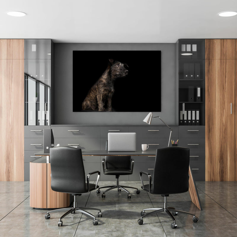 Office Poster  - Dunkler Cairn Terrier Hund in klassischem Büroraum zwischen Holzschränken