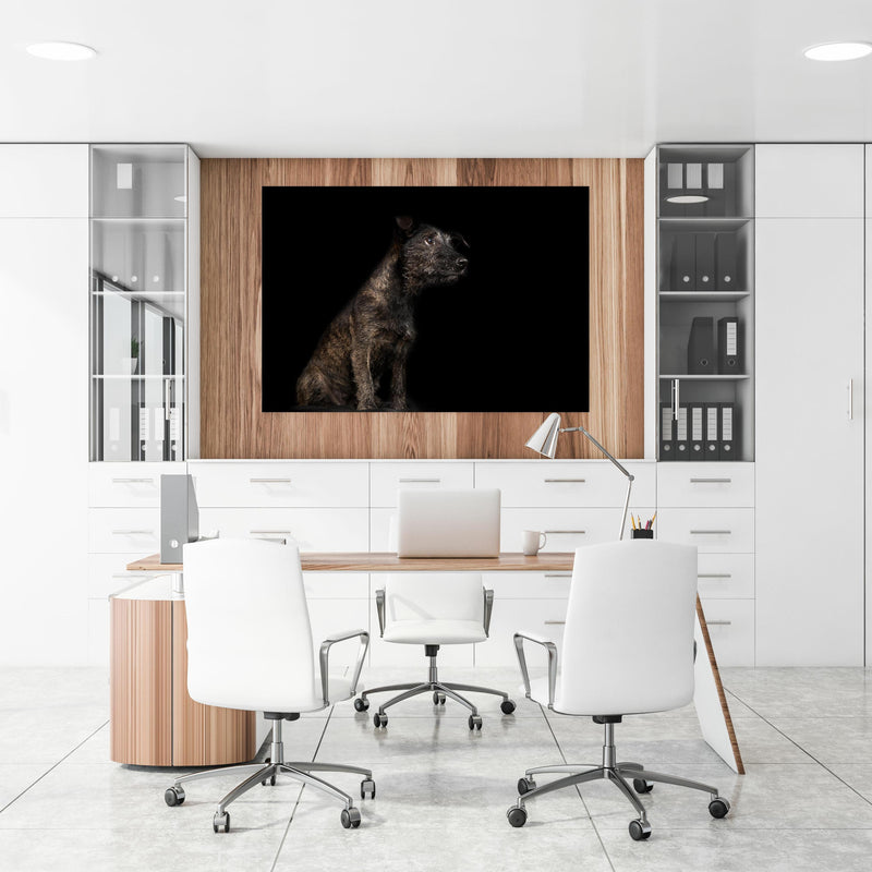 Office Poster  - Dunkler Cairn Terrier Hund an einer Holzwand hängend im Büroraum
Office Poster  - Dunkler Cairn Terrier Hund an einer Holzwand hängend im Büroraum