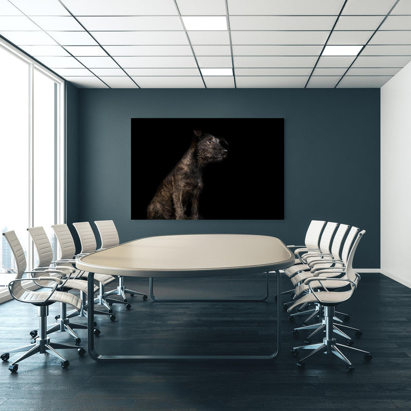 Office Poster  - Dunkler Cairn Terrier Hund an blauer Wand in einem Besprechungsraum