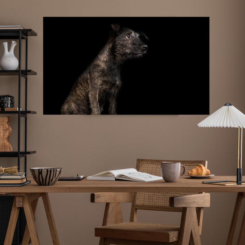 Office Poster  - Dunkler Cairn Terrier Hund über poliertem Holztisch mit stilvoller Lampe - rechteckig