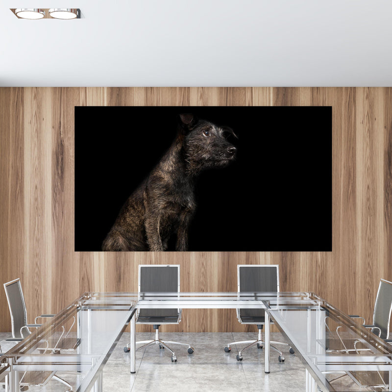 Office Poster  - Dunkler Cairn Terrier Hund in einem Konferenzraum mit Glastisch und Holzwand