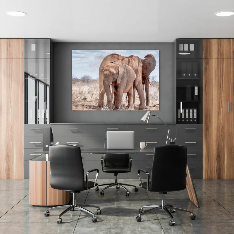 Office Poster  - Elefanten von Tsavo in klassischem Büroraum zwischen Holzschränken