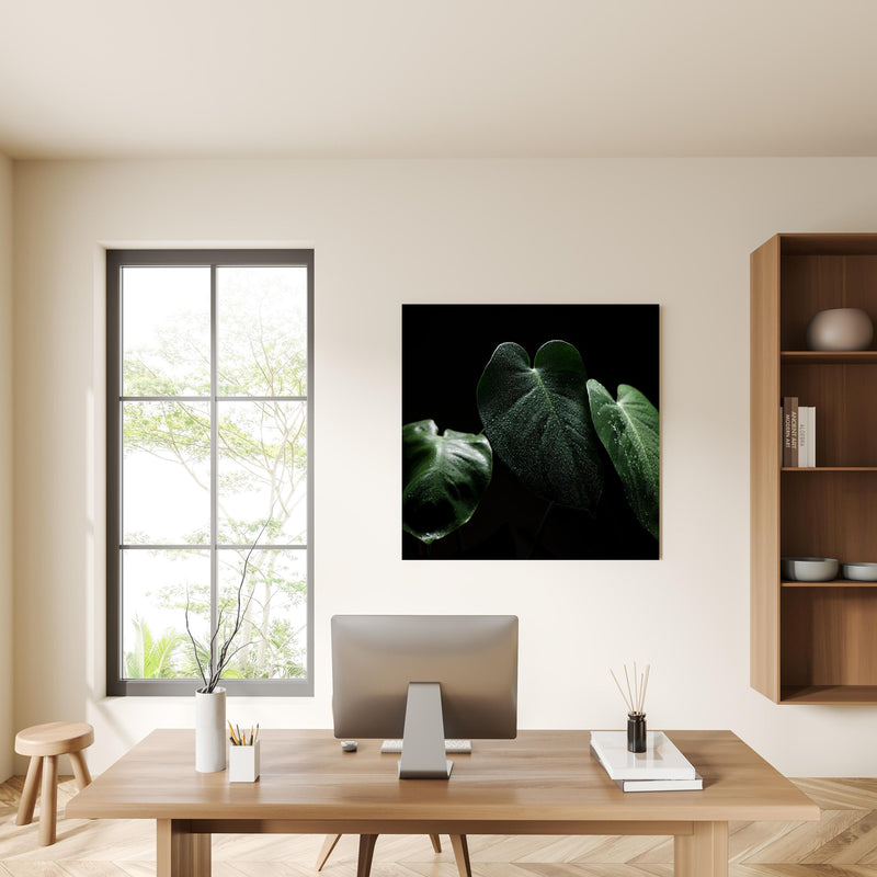 Office Poster  - Feuchtes Blatt auf schwarzem Hintergrund in privatem Bürozimmer mit Holzschrank