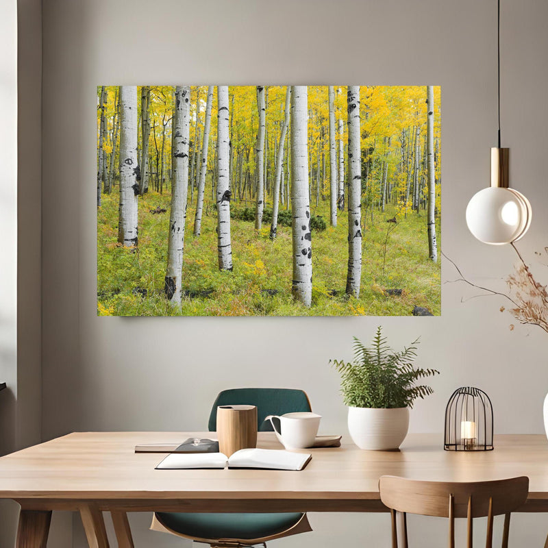 Office Poster - Gelb, grüner Birkenwald - Rueckwand24