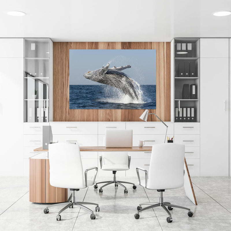 Office Poster  - Großer Buckelwal beim Auftauchen an einer Holzwand hängend im Büroraum
Office Poster  - Großer Buckelwal beim Auftauchen an einer Holzwand hängend im Büroraum