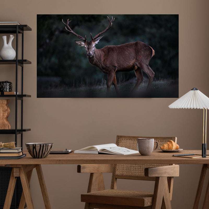 Office Poster  - Hirsche Gebirge Sierra de Andujar über poliertem Holztisch mit stilvoller Lampe - rechteckig