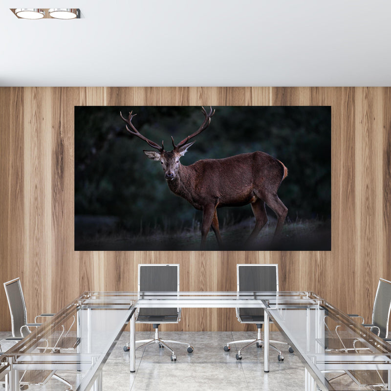 Office Poster  - Hirsche Gebirge Sierra de Andujar in einem Konferenzraum mit Glastisch und Holzwand