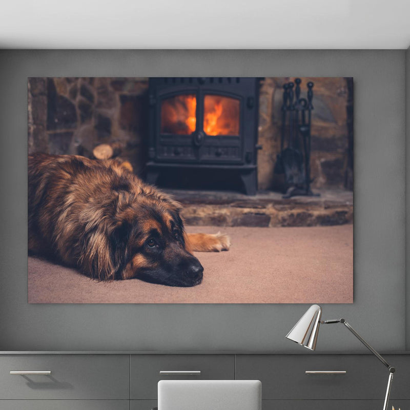 Office Poster  - Hund entspannt am Feuer in klassischem Büroraum zwischen Holzschränken Zoom