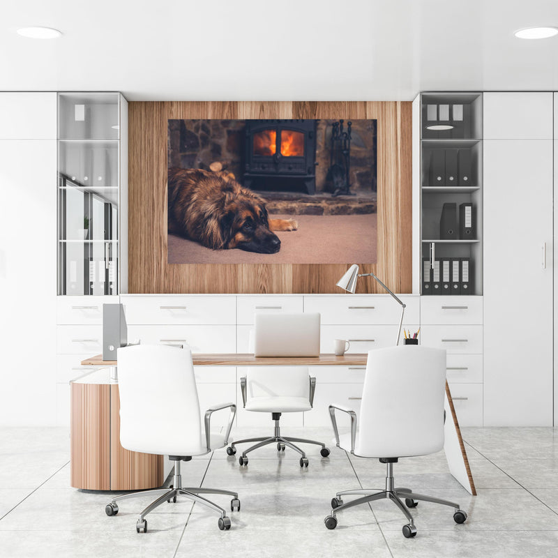 Office Poster  - Hund entspannt am Feuer an einer Holzwand hängend im Büroraum
Office Poster  - Hund entspannt am Feuer an einer Holzwand hängend im Büroraum