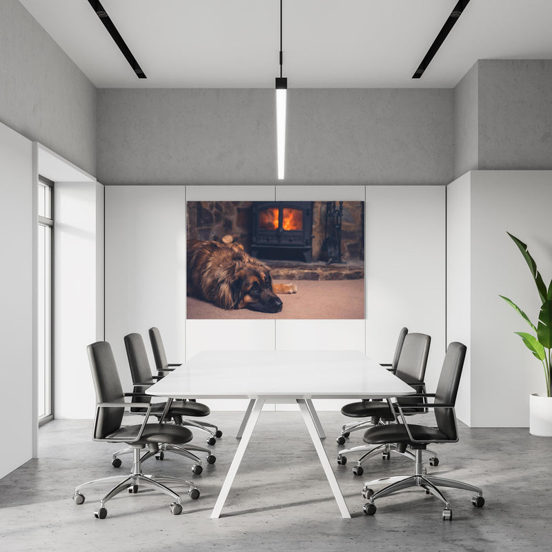 Office Poster  - Hund entspannt am Feuer in einem Konferenzraum an weißer Wand hängend