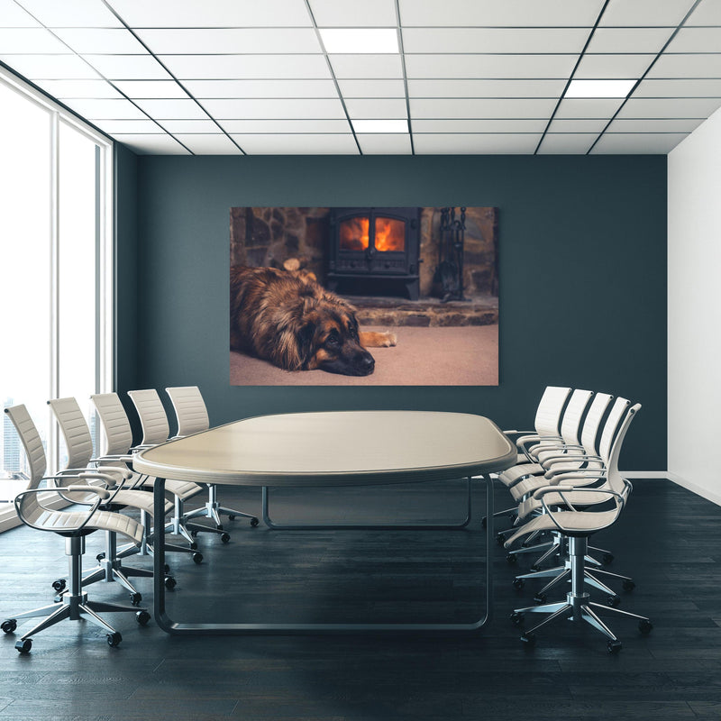 Office Poster  - Hund entspannt am Feuer an blauer Wand in einem Besprechungsraum