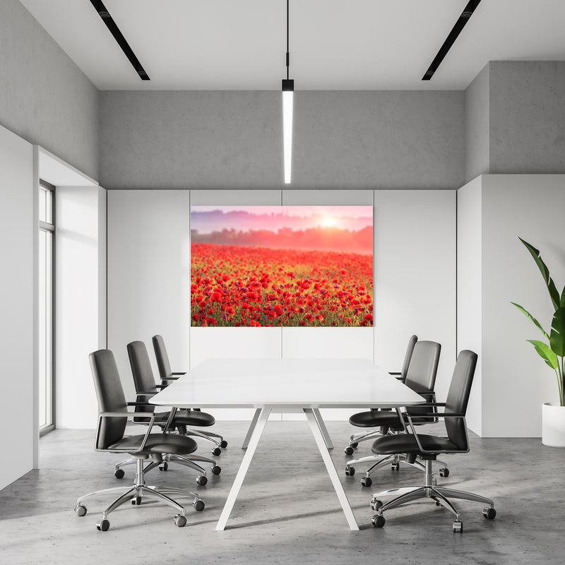 Office Poster  - Idyllisches Mohnfeld bei Sonnenuntergang in einem Konferenzraum an weißer Wand hängend