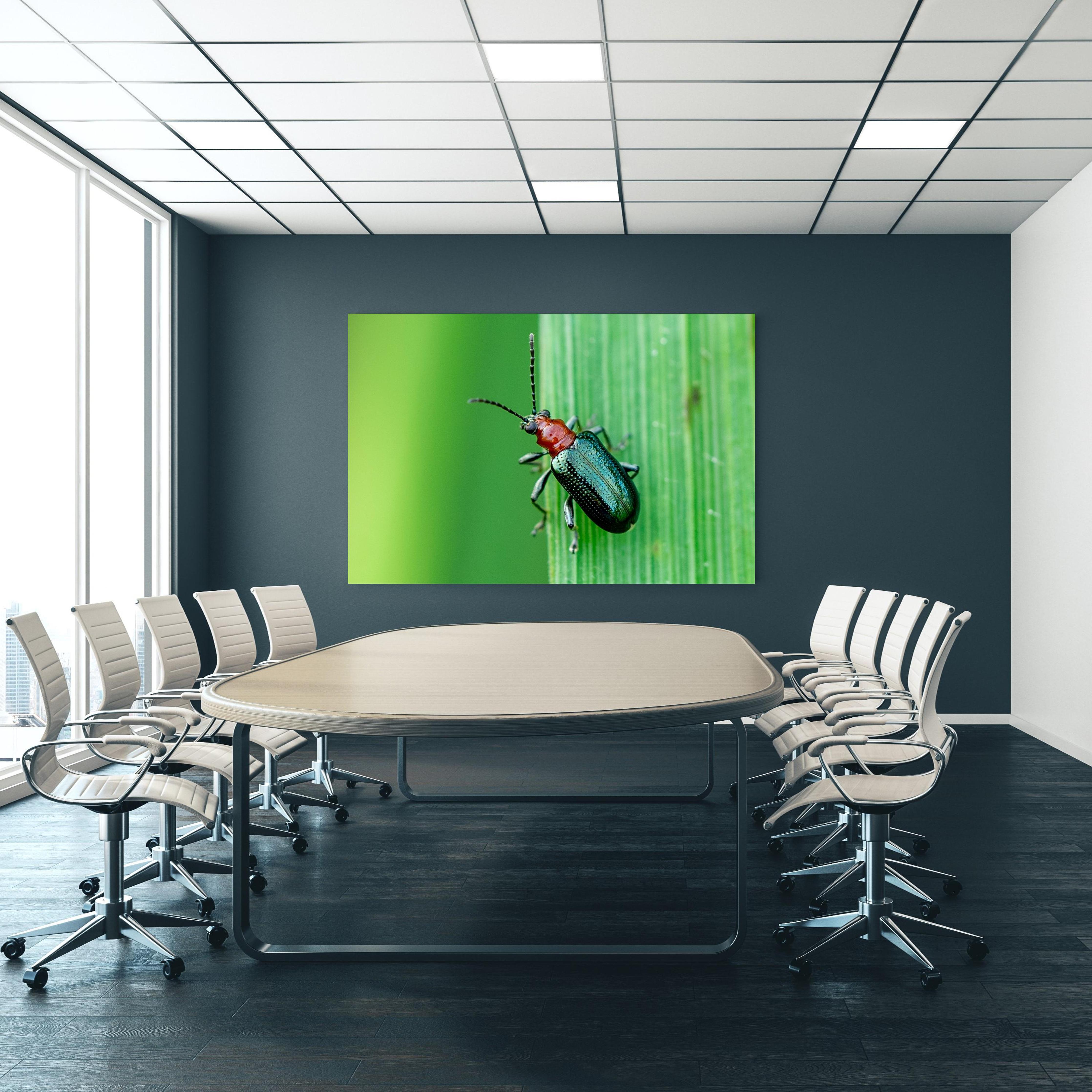 Office Poster  - Käfer auf Blatt an blauer Wand in einem Besprechungsraum