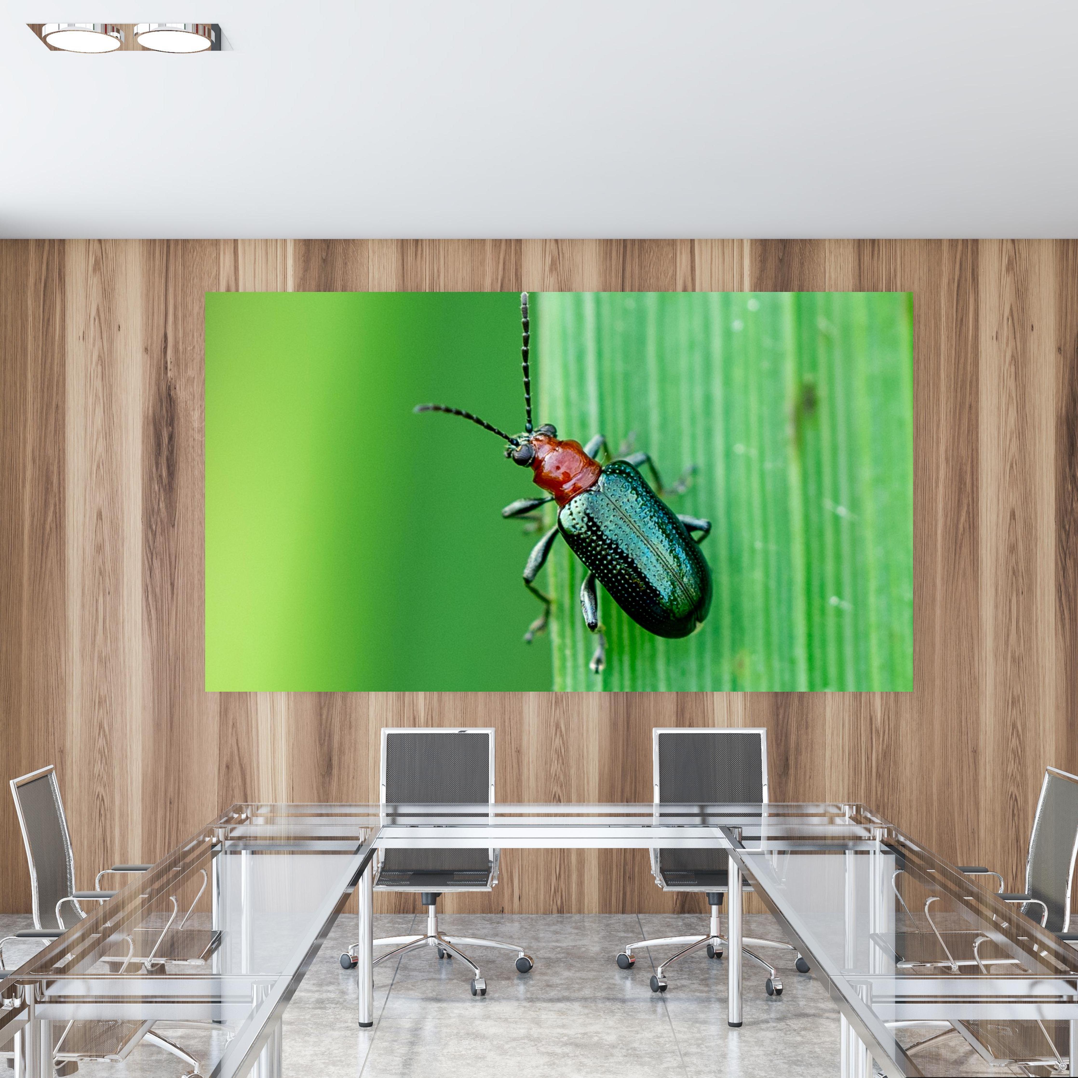 Office Poster  - Käfer auf Blatt in einem Konferenzraum mit Glastisch und Holzwand