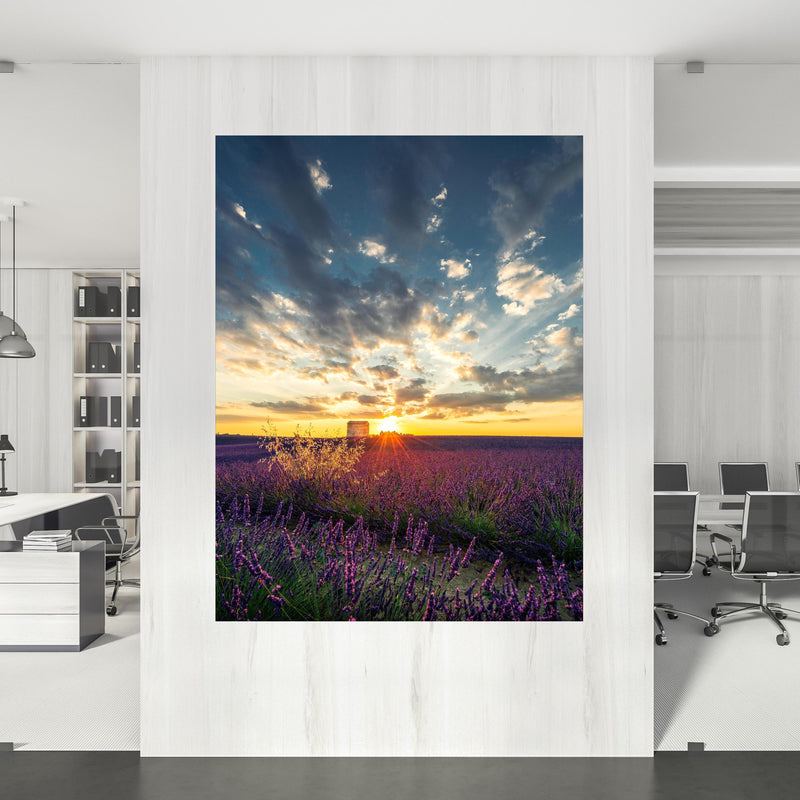 Office Poster - Lavendel Feld in Rueckwand24 Sommer der im Provence 
