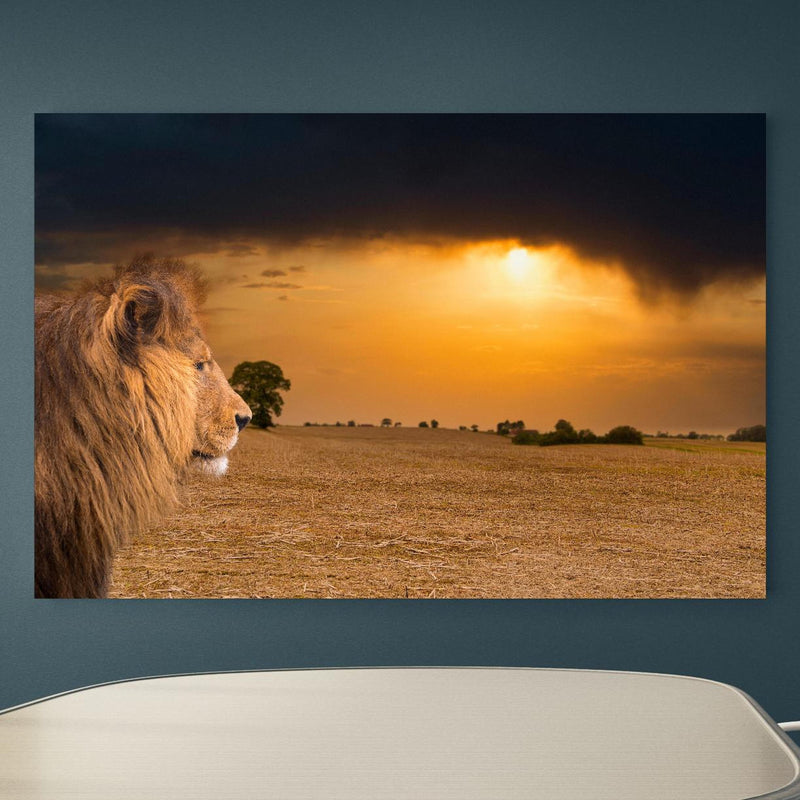 Office Poster  - Löwe in Steppe im Sonnenuntergang an blauer Wand in einem Besprechungsraum Zoom