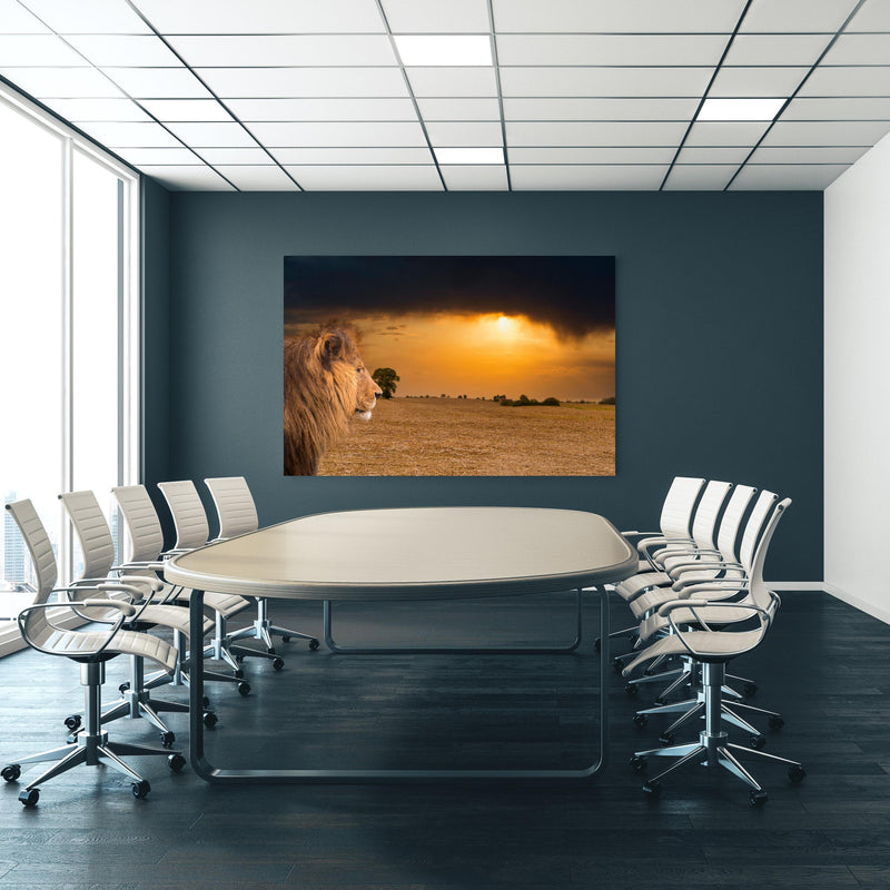 Office Poster  - Löwe in Steppe im Sonnenuntergang an blauer Wand in einem Besprechungsraum