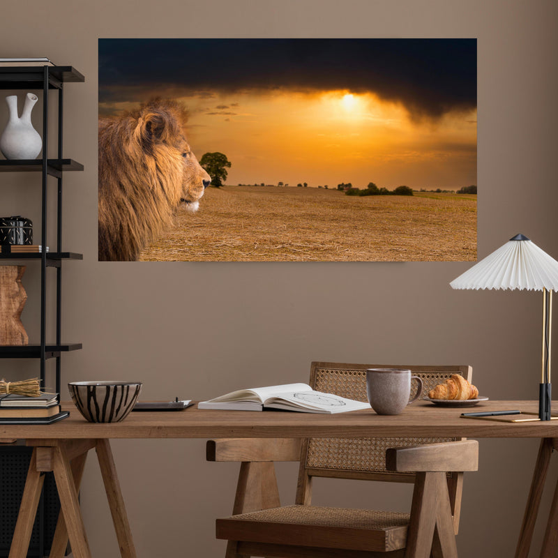 Office Poster  - Löwe in Steppe im Sonnenuntergang über poliertem Holztisch mit stilvoller Lampe - rechteckig