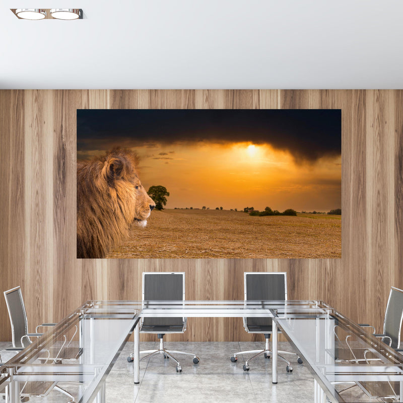 Office Poster  - Löwe in Steppe im Sonnenuntergang in einem Konferenzraum mit Glastisch und Holzwand