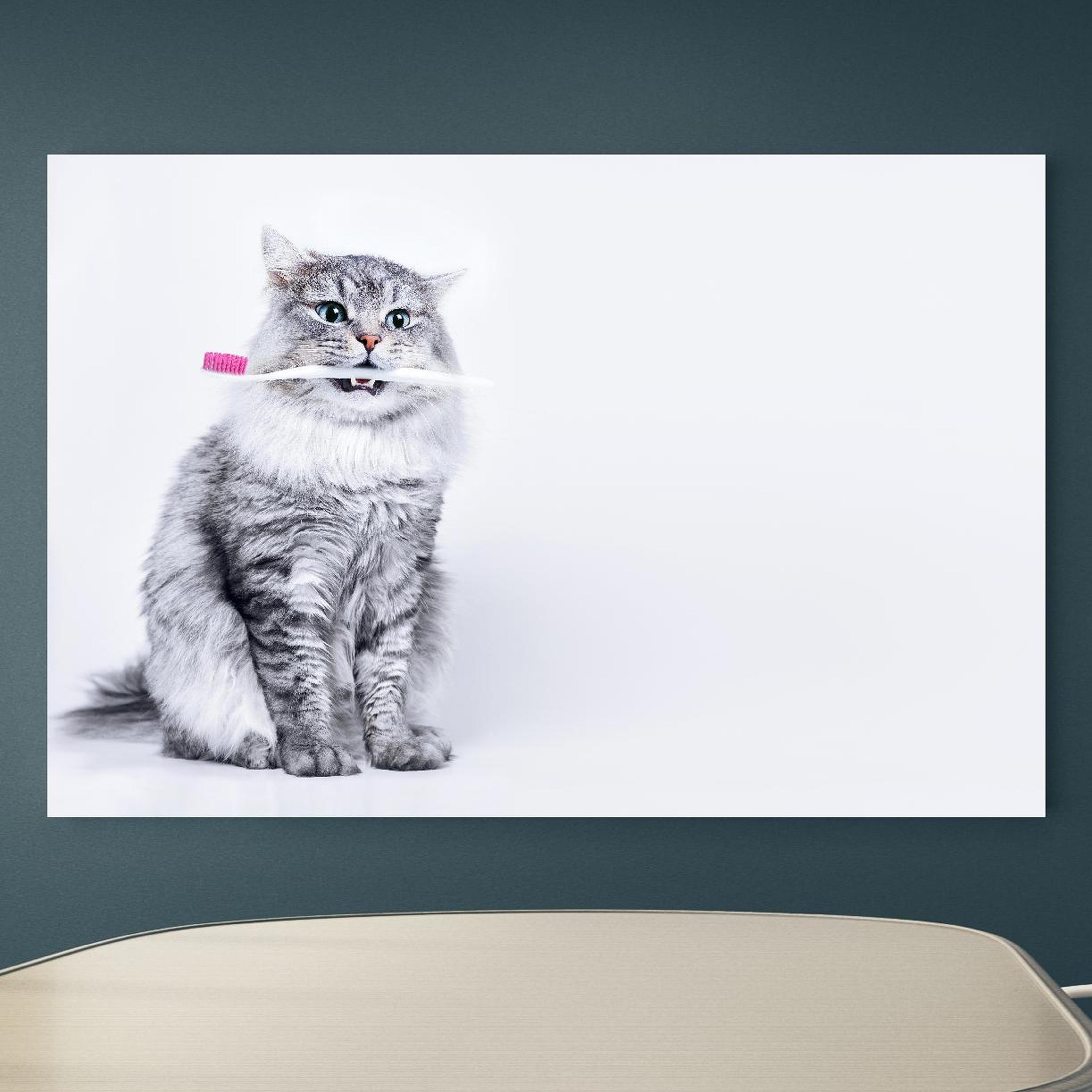 Office Poster  - Lustige Katze mit Zahnbürste an blauer Wand in einem Besprechungsraum Zoom