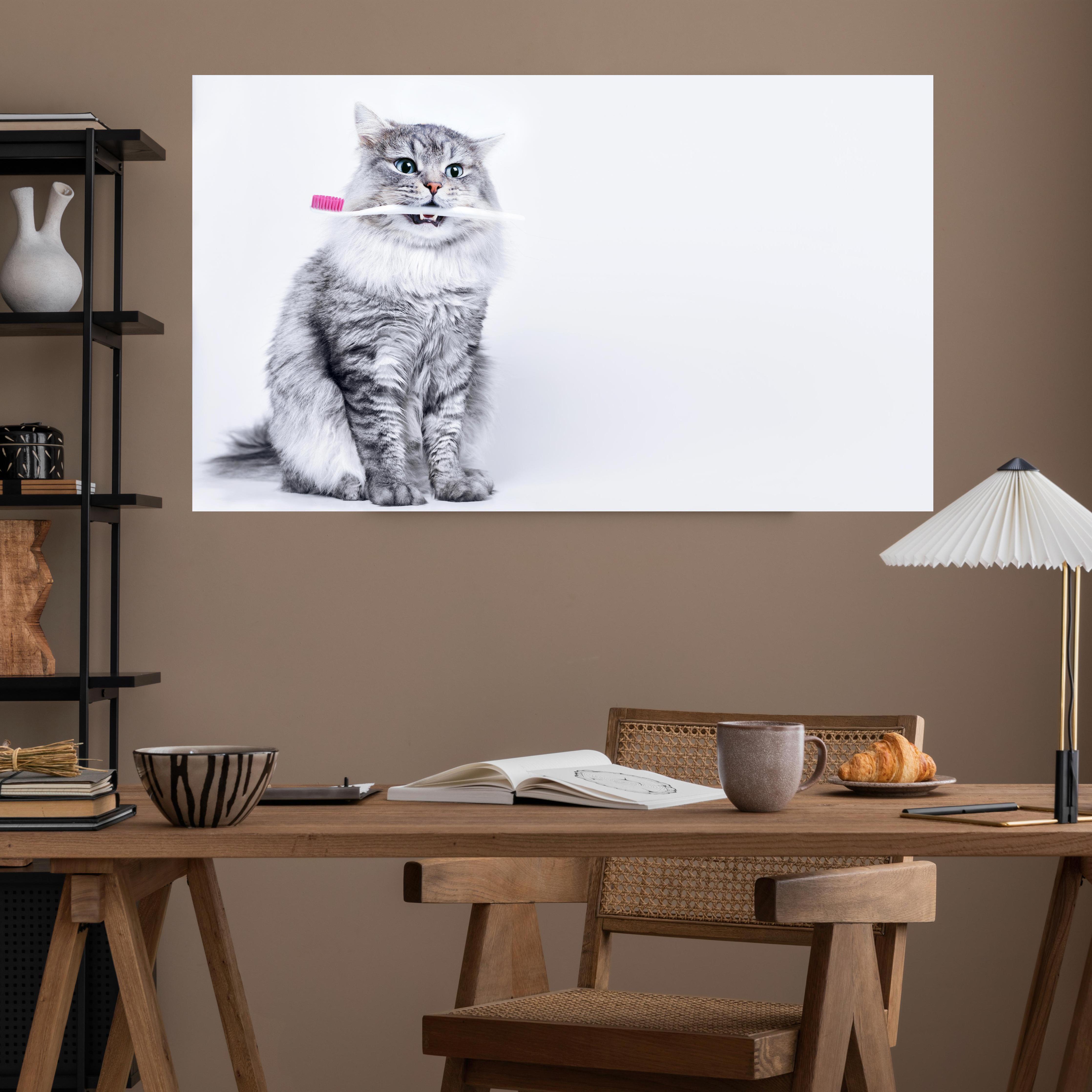 Office Poster  - Lustige Katze mit Zahnbürste über poliertem Holztisch mit stilvoller Lampe - rechteckig