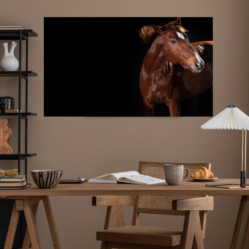 Office Poster  - Pferdeporträt auf schwarzem Hintergrund über poliertem Holztisch mit stilvoller Lampe - rechteckig