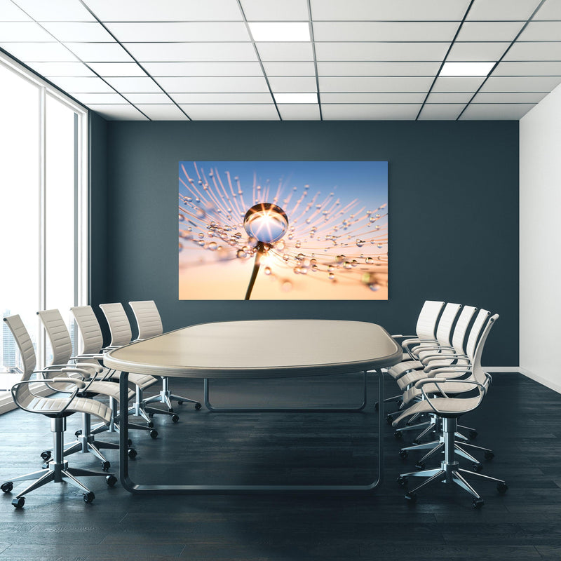 Office Poster  - Pusteblume in Nahaufnahme mit Tautropfen an blauer Wand in einem Besprechungsraum