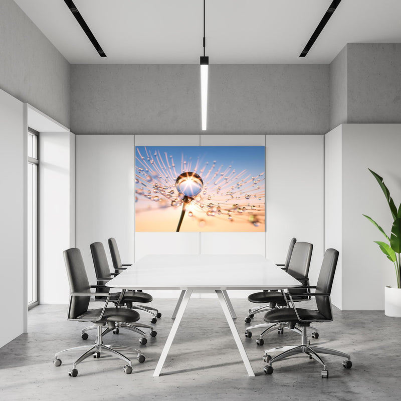 Office Poster  - Pusteblume in Nahaufnahme mit Tautropfen in einem Konferenzraum an weißer Wand hängend