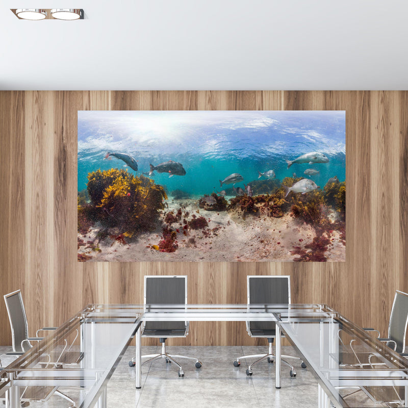 Office Poster  - Seetang und Fisch in Neuseeland in einem Konferenzraum mit Glastisch und Holzwand