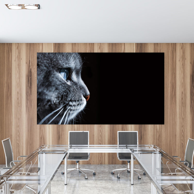 Office Poster  - Seitliches Katzen-Portrait in einem Konferenzraum mit Glastisch und Holzwand