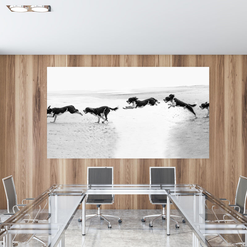 Office Poster  - Springer Spaniel beim springen in einem Konferenzraum mit Glastisch und Holzwand